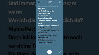 Deine Schuld Ayliva Lyrics🎧 [upl. by Eihpos]