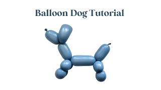 Balloon Dog Twisting  Balloon Animals for Beginners [upl. by Keemahs]