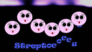 Shapes of Prokaryotic Cells  Bacteria and Archaea Cells [upl. by Claud]