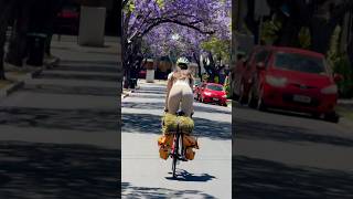 CYCLING INTO THE SPRING cycling cycle bike bikelife roadbike roadcycling [upl. by Omlesna]