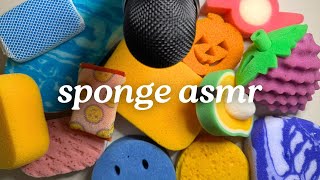 ASMR Sounds for Sleep ✨  Sponge Squeezing Sounds  Sponge Scratching Sounds  ASMR Sounds ✨ [upl. by Irene]