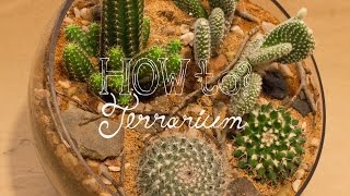 Make a Cactus Terrarium  How To Terrarium ep 4 [upl. by Beauvais]