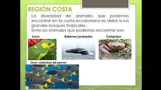 ANIMALES POR REGIONES NATURALES DEL ECUADOR [upl. by Nolahs]