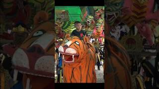 Viralll Can Macan Kuda Gajah Jogedd Blentung [upl. by Yerfdog]