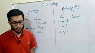 Prokaryotic Vs Eukaryotic Cells in Urdu hindi [upl. by Aznofla850]