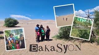 VISITED COLORADO GATOR AND GREAT SAND DUNES NATIONAL PARK [upl. by Ailaham5]