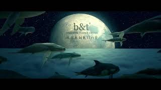 Big Fish amp Begonia  Starz Cinema Intro [upl. by Yllaw]