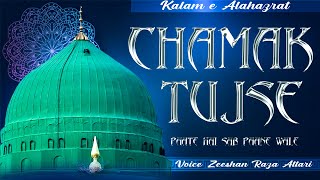 Chamak Tujhse Paate Hain Sub Paane Wale  Zeeshan Raza Attari  Official Video [upl. by Phelgon]