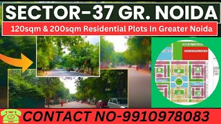 Greater Noida Authority Plots RHO 2 Sector 37  update price amp neyar pari chowk resale plot Gnoida [upl. by Bergen]