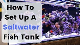 How To Set Up Build A Saltwater Fish Tank  Aquarium [upl. by Aremihc]