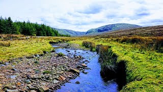 Small Stream Fly Fishing  Wild Camping [upl. by Namya]