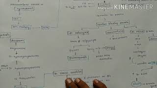 Adrenal cortex2Zona fasciculataGlucocorticoid hormone [upl. by Nahn24]