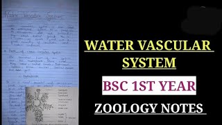 Water vascular system in Echinoderm bsc 1st year notes vbu bbmku watervascularsystemnotes [upl. by Onaicul]