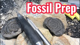 Fossil Prep  TimeLapse  Air Scribe [upl. by Audras]