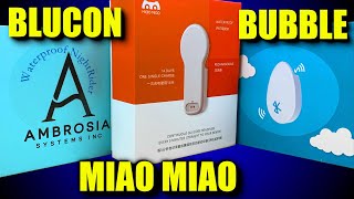 MiaoMiao 2 vs Bubble aka Bubblan vs NightRider BluCon  Best FreeStyle Libre Transmitter in 2020 [upl. by Atteroc]