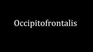 How to pronounce Occipitofrontalis [upl. by Ainoet]