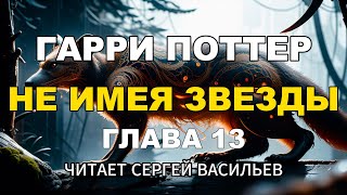 Не имея звезды  Глава 13  Гарри Поттер аудиокнига Васильев С [upl. by Eellek]