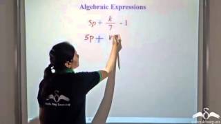 Algebraic Expressions  Monomial and Binomial Terms  Class 7  ICSE  CBSE [upl. by Nolana]