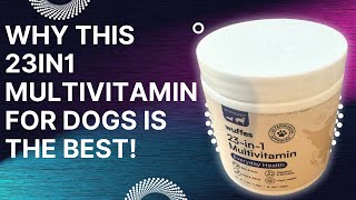 Review of 23 in 1 Chewable Dog Multivitamin [upl. by Nigrom275]