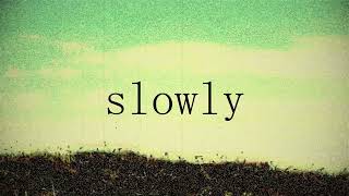 Slowly  Terrapin Lyric Video [upl. by Ecidnak]