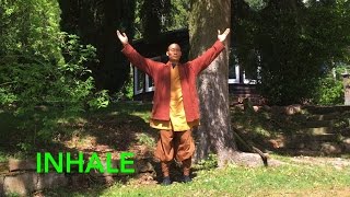 Qi Gong Breathing 7 Minutes to calm body and mind [upl. by Lehar]