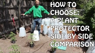 How To Choose A Plant Protector SideBySide Comparison [upl. by Okorih137]