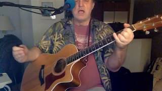 Townes Van Zandt guitar lesson lungs strumming lesson [upl. by Aslin]