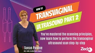 How to Perform the transvaginal ultrasound exam part 2  3 August 2023 [upl. by Dnomyad]