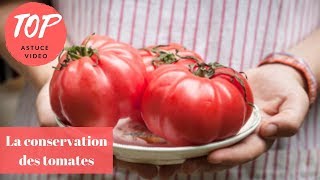 Comment conserver les tomates  Top 5 Astuces ToutPratique [upl. by Nestor]