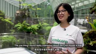 The Sembcorp Cool House  Hear from Sembcorp’s volunteers [upl. by Levona]