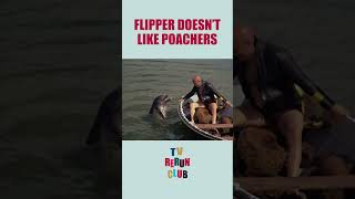 Flipper exposes the real thief 🐬 TVRerunClub Flipper Adventure [upl. by Kcinnay]