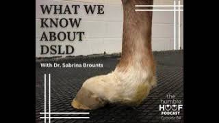 What We Know About DSLD with Dr Sabrina Brounts Sponsored by Equithrive [upl. by Ahk367]