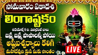 లింగాష్టకం  LINGASHTAKAM MONDAY SPECIAL POWERFUL BHAKTI SONGS 2024 [upl. by Unam954]