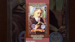 Rosario a San Benito por los Hijos Día 9 oracion hijos sanacion problemas protección oraciones [upl. by Koeppel]