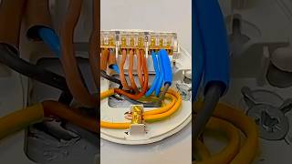 2 Big Reasons to Use 3Core Wire at Ceiling Rose [upl. by Aielam]