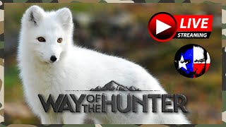 🚨MP Tex LIVE🚨Way of the Hunter [upl. by Xerxes]