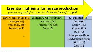 Essential nutrients for forage systems forage drops [upl. by Ordnasela581]