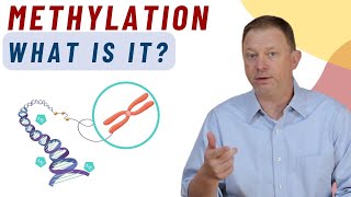 What is Methylation and How it Impacts our body [upl. by Haidebej167]