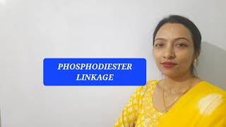 PHOSPHODIESTER LINKAGE [upl. by Elocal987]