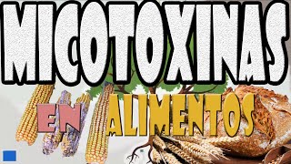 Micotoxinas en alimentos [upl. by Ennalyrehc]