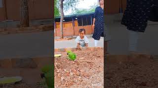 🦜😜panjavarna pachakili 🤩💚😍cute baby with parrot 🦜 [upl. by Anirtek304]