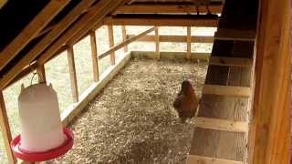 Chicken coop tractor updates [upl. by Akamaozu]