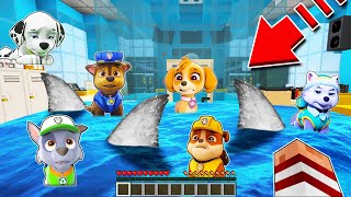 APARECEN TIBURONES EN LA TORRE DE LA PAW PATROL EN MINECRAFT [upl. by Nosam]