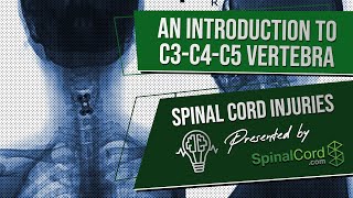 C3 C4 C5 Definitions Cervical Spinal Cord Injury Symptoms Causes Treatments and Recovery [upl. by Gaul]