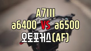 a6400의 AF는 정말 안드로메다급일까 a6400리뷰3 [upl. by Lorin]