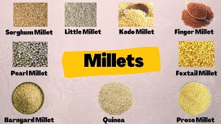 Millets  Millets Names in Tamil amp English  English Tamil Dictionary  Millets Types  தினை வகைகள் [upl. by Adelaja]