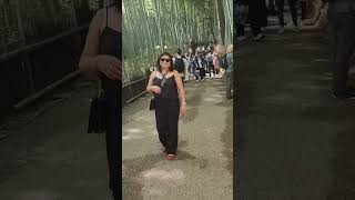 The Bamboo Forest in Kyoto  Japan 🇯🇵 shortsvideo [upl. by Artap]