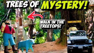 Best Places to Visit Redwood National amp State Parks Trees of Mystery amp Drive Thru Tree  California [upl. by Bjorn]