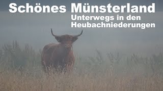 Schönes Münsterland Unterwegs in den Heubachniederungen [upl. by Amabelle]