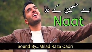 Ya Nabi Nazre Karam Farmana  Ey Hasnain Ke Nana  Milad Raza Qadri  Official Video  Naat Song [upl. by Anisamot]